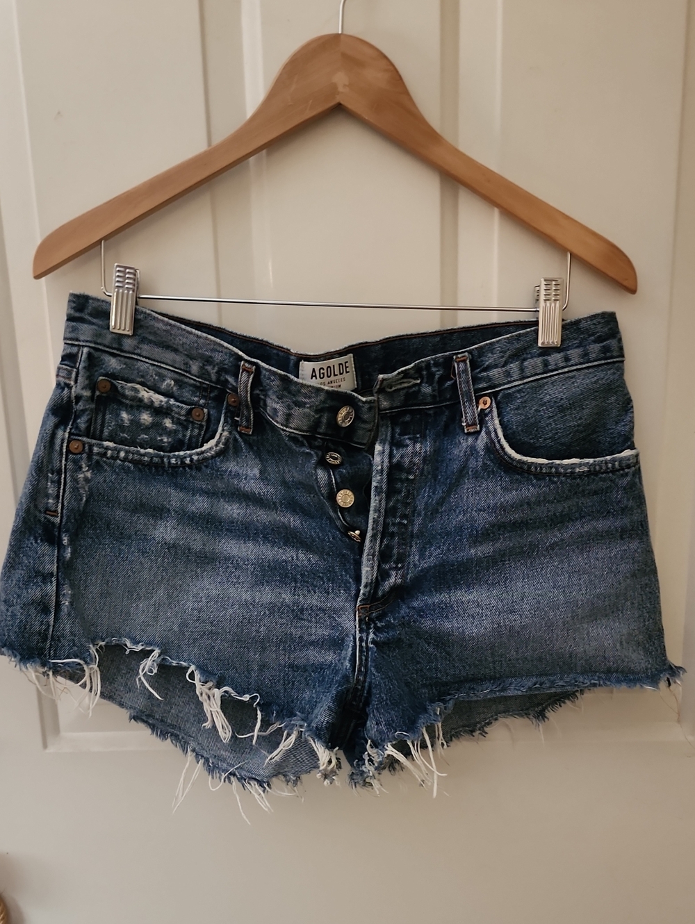 Agolde Frayed Button-Fly Denim Shorts in Dark Blue Wash